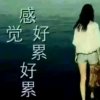 丽丽的头像
