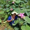 原来如此的头像