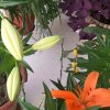 岳安勇的头像