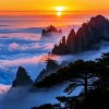 足行天下的头像