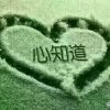 心静如水的头像