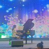 豪门♚琴心书影的头像