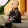乐翻天CongZouQi的头像