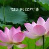 平平淡淡退出的头像