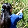 云淡风轻（勿关注）的头像