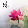 天边云 好美的头像