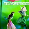情深缘浅的头像