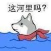 汪汪的头像