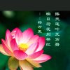 太阳：兰（忙碌中）的头像