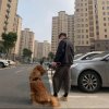  小乖的头像