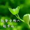 水上飞的头像