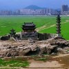 缘定一生的头像