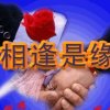 东哥的头像