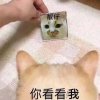 土豆丝「ACG」的头像