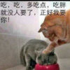 梅仁耀的头像