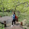 莫莫的头像
