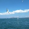 明凡的头像