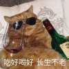 当地不知名魔法少女的头像
