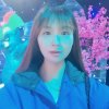 梅的头像