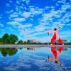 杨丽春的头像