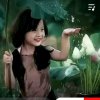 淡然的头像