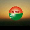 高端经络养生苏彦丽15864618282的头像