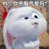 OK绷的头像