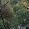 蒋永强的头像