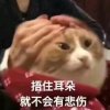？的头像