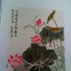 宁静致远的头像
