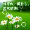 心相印的头像