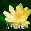 吉祥如意的头像