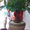 知足常乐的头像