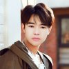 杨明光的头像