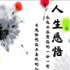 随遇而安的头像