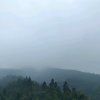 惜水长流的头像