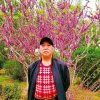 老孙的头像
