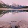金山的头像