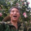 霞光的头像