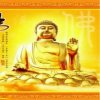 一生有你的头像