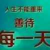 龙虎的头像