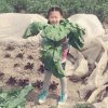 桐奶的头像