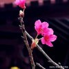 黄钢感谢大家好！的头像