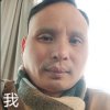 踏雪寻梅的头像