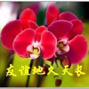 重庆洪 发他乡创业的头像