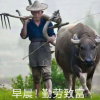 农民的儿子的头像