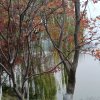 明月清风的头像