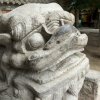 习惯的头像
