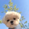 小嗝嗝的头像