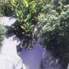 不忘初心的头像